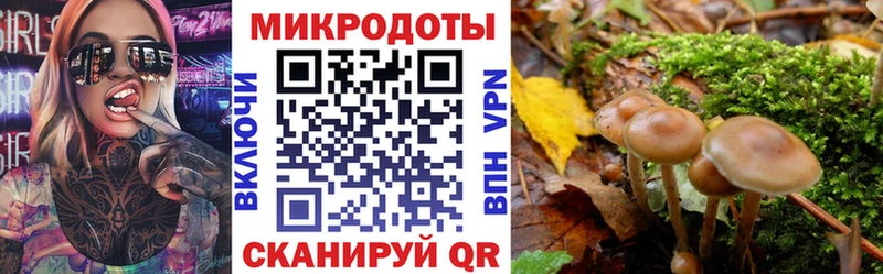 Галлюциногенные грибы MAGIC MUSHROOMS  Дно 